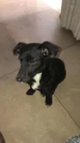 Nina