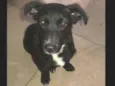 Nina