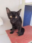 Frida