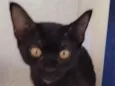 Frida