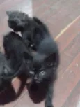 Meninos e meninas