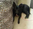 Zoe