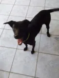Charlie