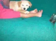 Boby