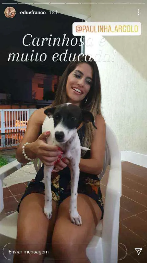 Cachorro ra a SRD idade 2 a 6 meses nome Branquinha