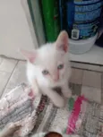 Baby 2
