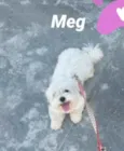 Meg