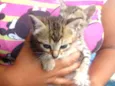 Sem nomes