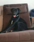 Belinha