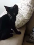 Mimi, Lili, kika