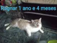 RAGNAR