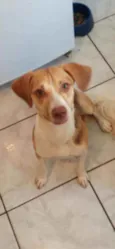 Kiara