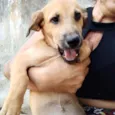 Greta