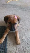 Mimi