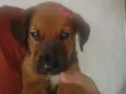 Mimi
