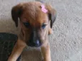 Mimi