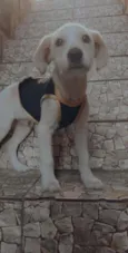 Ralph