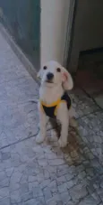 Ralph