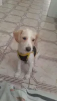 Ralph