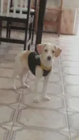 Ralph