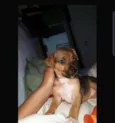Ñ tem 