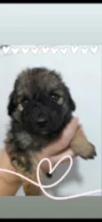 Zoe