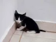 Nome de escolha