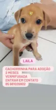 LAILA