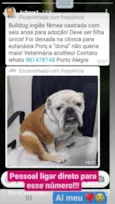 Dadá