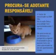 Tintim