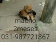 Não tem nome