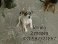 Não tem nome