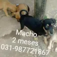 Não tem nome
