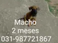 Não tem nome