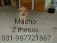 Não tem nome