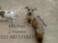Não tem nome 