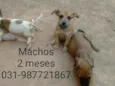 Não tem nome