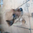 Fred