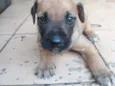 Tobby