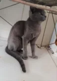 Kiara