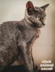 Kiara