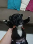 Geraldinho