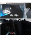 ASTOR