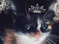 Cléo 