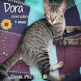Dora