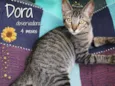 Dora
