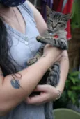 Cacau
