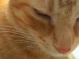 Gina 