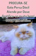 Dove