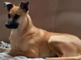 Mel